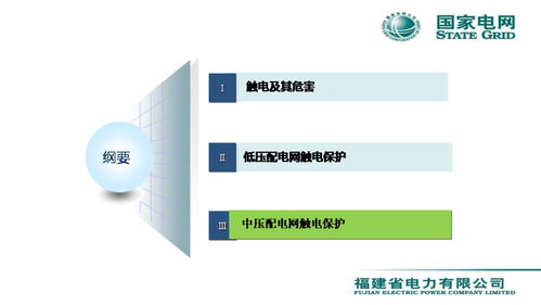 配电网触电保护技术与网络技术服务融合创新——李天友会议报告综述